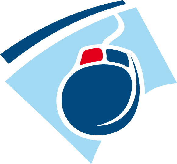 IT-Consult